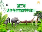 人教版八年级生物上册5.3动物在生物圈中的作用课件