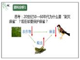 人教版八年级生物上册5.3动物在生物圈中的作用课件