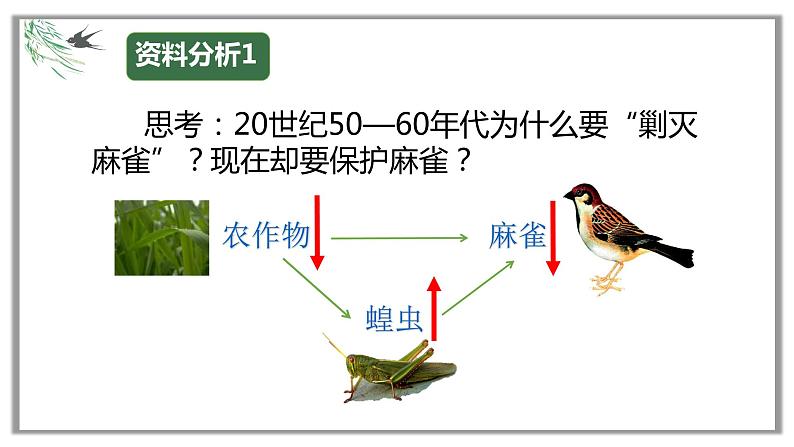 人教版八年级生物上册5.3动物在生物圈中的作用课件04