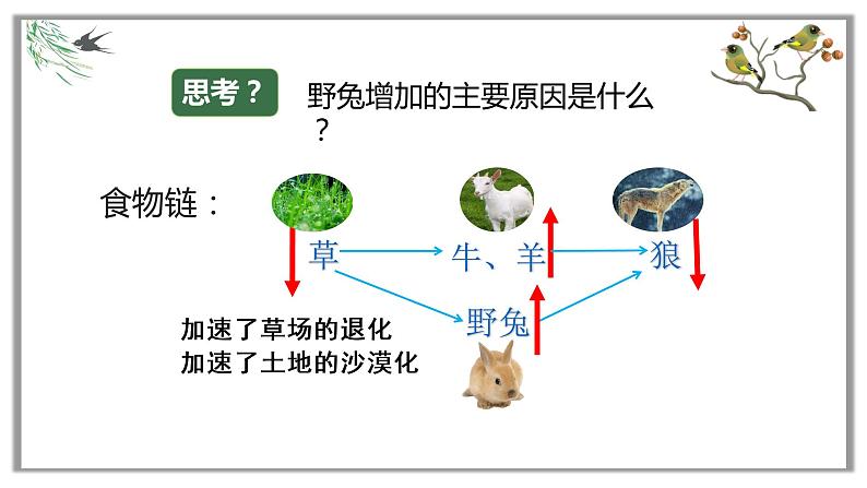 人教版八年级生物上册5.3动物在生物圈中的作用课件06