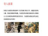 人教版八年级生物上册5.2.1动物的运动 课件