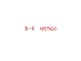 人教版八年级生物上册5.2.1动物的运动 课件