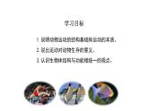 人教版八年级生物上册5.2.1动物的运动 课件