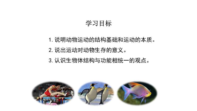 人教版八年级生物上册5.2.1动物的运动 课件第3页