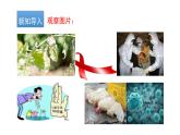 人教版八年级生物上册5.5《病毒》课件