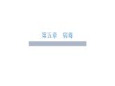人教版八年级生物上册5.5《病毒》课件
