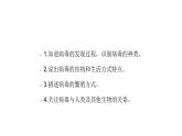 人教版八年级生物上册5.5《病毒》课件