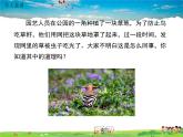 北师大版生物八年级下册 第23章 生态系统及其稳定性-第4节 生态系统的稳定性【教案+教学课件】