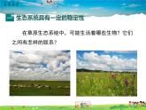北师大版生物八年级下册 第23章 生态系统及其稳定性-第4节 生态系统的稳定性【教案+教学课件】