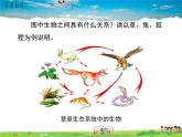 北师大版生物八年级下册 第23章 生态系统及其稳定性-第4节 生态系统的稳定性【教案+教学课件】