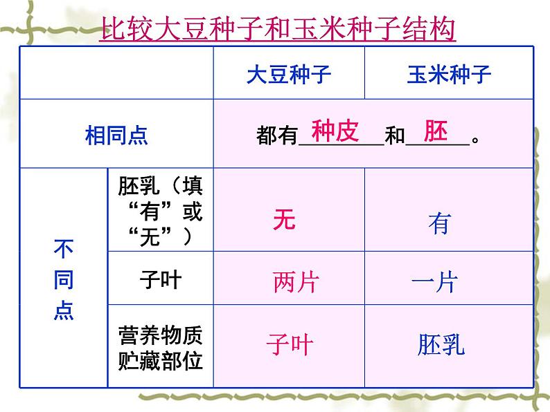 5.1植物种子的萌发 课件（33）苏教版七年级生物上册第7页