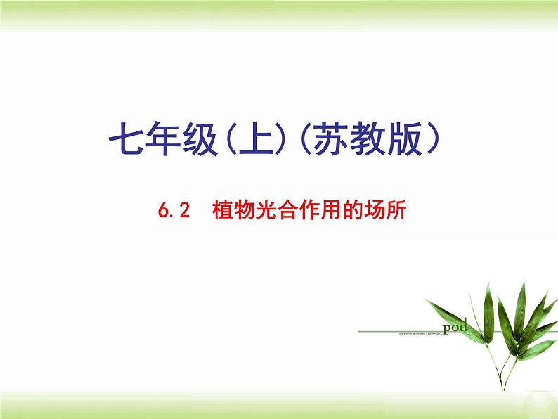 植物光合作用的场所PPT课件免费下载01