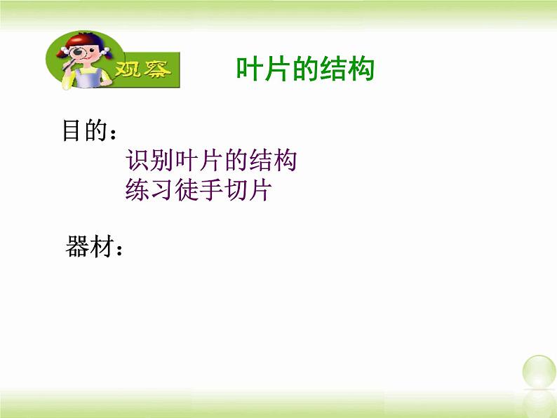 植物光合作用的场所PPT课件免费下载02