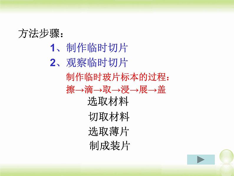 植物光合作用的场所PPT课件免费下载04