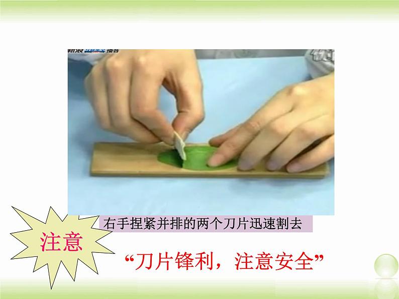 植物光合作用的场所PPT课件免费下载05