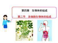 初中生物苏教版七年级上册第二节 多细胞生物体的组成背景图ppt课件