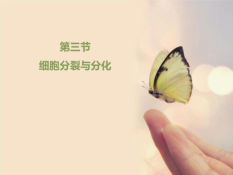 3.3细胞分裂与分化 课件（21）苏教版七年级生物上册第1页