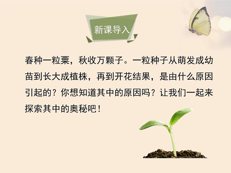 3.3细胞分裂与分化 课件（21）苏教版七年级生物上册第3页