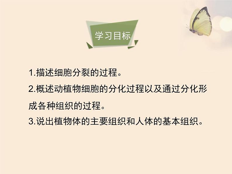 3.3细胞分裂与分化 课件（21）苏教版七年级生物上册第4页