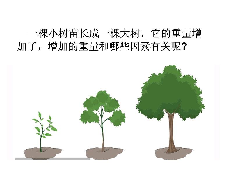 植物光合作用的发现PPT课件免费下载02