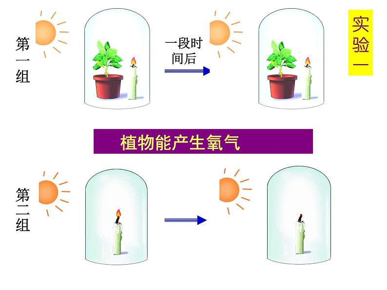 植物光合作用的发现PPT课件免费下载08