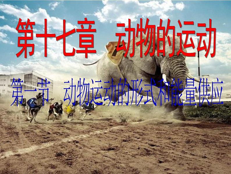 17.1动物运动的形式和能量供应 课件（97）苏教版八年级生物上册第1页
