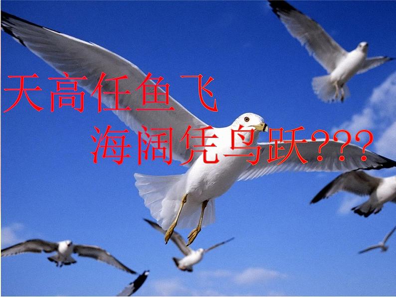 17.1动物运动的形式和能量供应 课件（97）苏教版八年级生物上册第2页