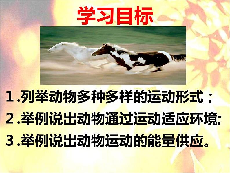 17.1动物运动的形式和能量供应 课件（97）苏教版八年级生物上册第3页