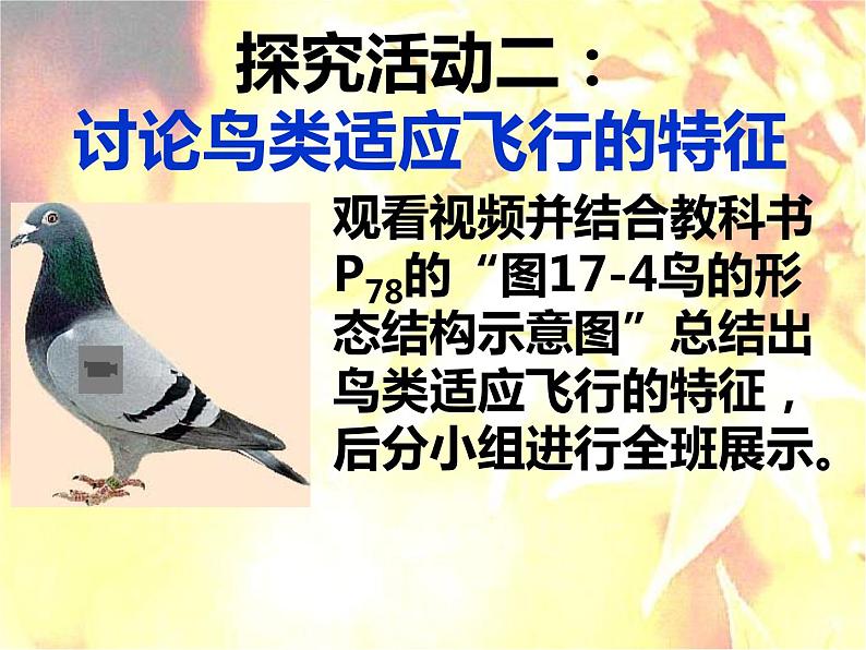 17.1动物运动的形式和能量供应 课件（97）苏教版八年级生物上册第7页