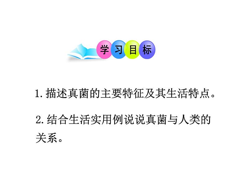 神奇的微生物PPT课件免费下载03