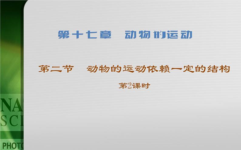 动物的运动依赖于一定的结构PPT课件免费下载01