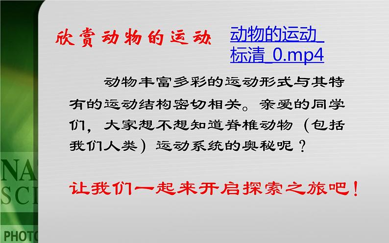 动物的运动依赖于一定的结构PPT课件免费下载02