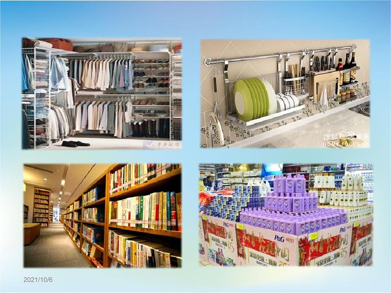 生物的分类PPT课件免费下载06