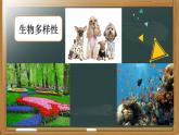 保护生物多样性的艰巨使命PPT课件免费下载