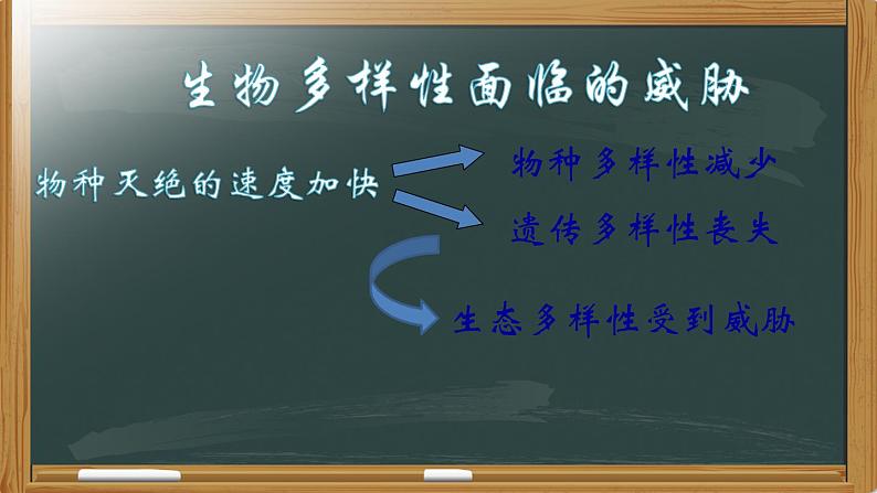 保护生物多样性的艰巨使命PPT课件免费下载08