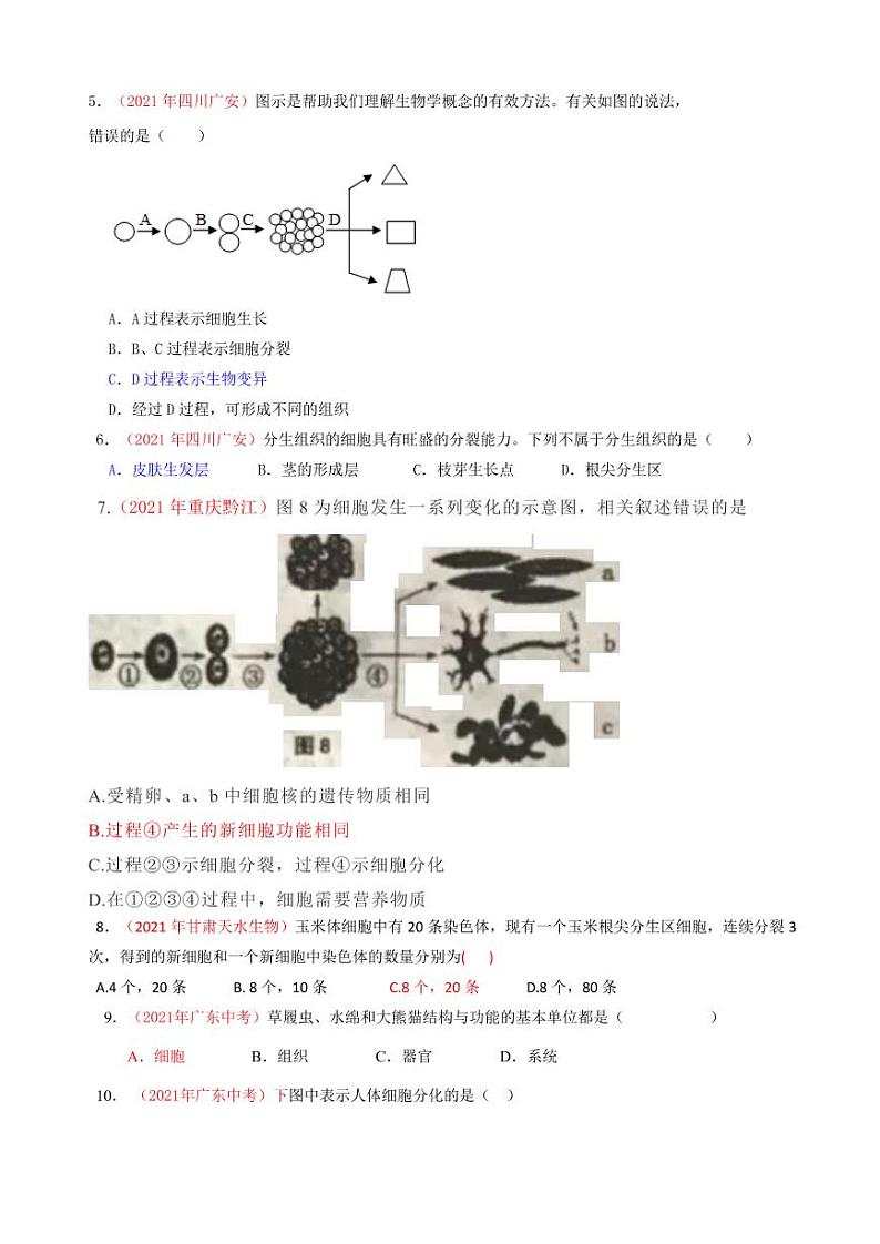 2021年全国中考生物真题分类汇编：细胞的分裂分化生长专项复习解析版02