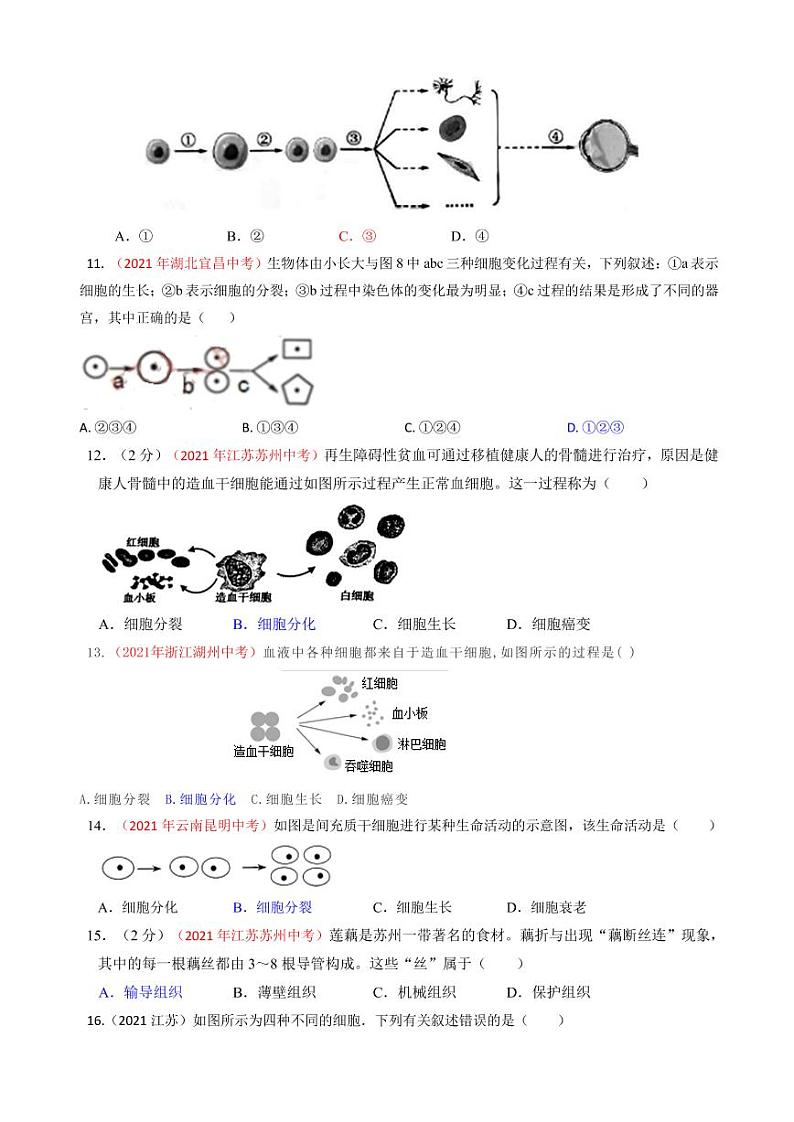 2021年全国中考生物真题分类汇编：细胞的分裂分化生长专项复习解析版03