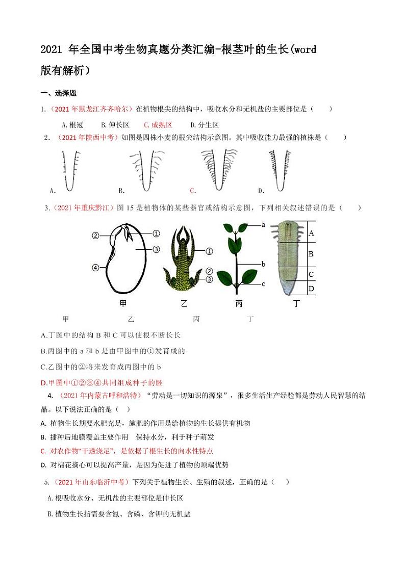 2021年全国中考生物真题分类汇编：根茎叶的生长专项复习解析版第1页