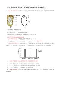 2021年全国中考生物真题分类汇编：种子的结构和萌发专项复习解析版