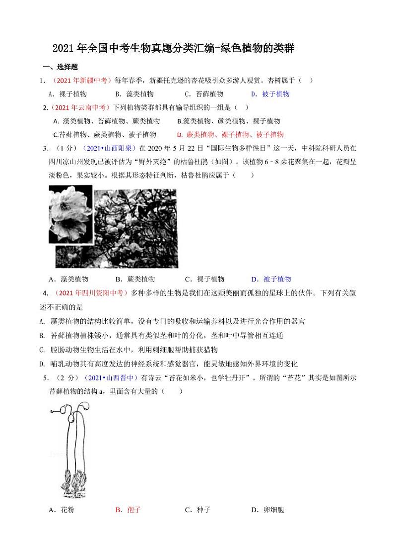 2021年全国中考生物真题分类汇编：绿色植物的类群专项复习解析版第1页