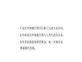人教版七年级生物上册2.2.4《单细胞生物》同步课件