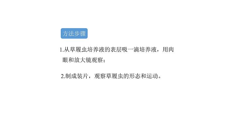 人教版七年级生物上册2.2.4《单细胞生物》同步课件06