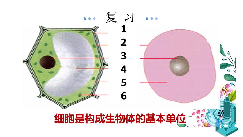 人教版七年级生物上册2.1.4《细胞的生活》同步课件01