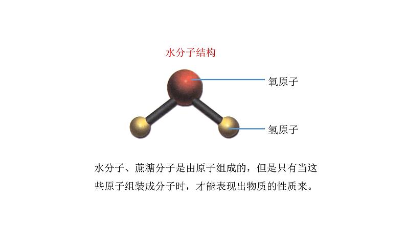 人教版七年级生物上册2.1.4《细胞的生活》同步课件05