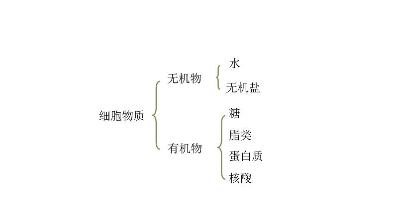 人教版七年级生物上册2.1.4《细胞的生活》同步课件07