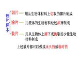 人教版七年级生物上册2.1.3《植物细胞》同步课件