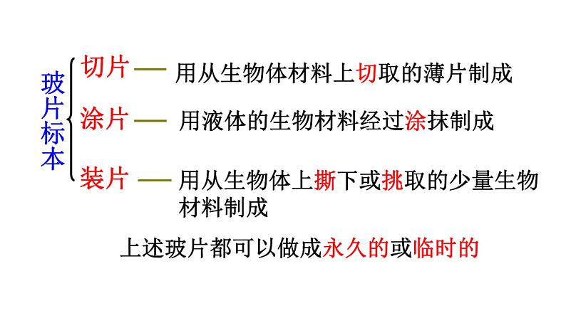 人教版七年级生物上册2.1.3《植物细胞》同步课件第5页