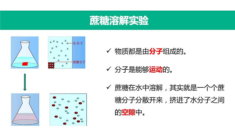 人教版七年级生物上册第四节细胞的生活课件PPT04