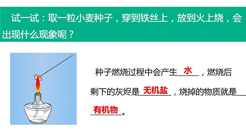 人教版七年级生物上册第四节细胞的生活课件PPT05