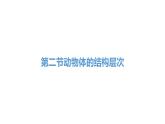 人教版七年级生物上册2.2.2《动物体的结构层次》同步课件